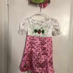 Strawberry Shortcake Costume 