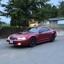 2004 Ford Mustang