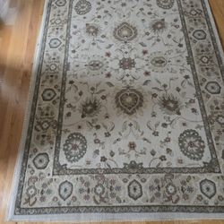 Beige 5'x7' Area Rug