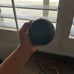 Apple Homepod