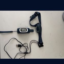 Dog Training Collar