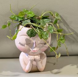 Hoya Curtisii in Pretty Girl Head Planter