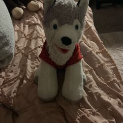 Stuffed Animal 