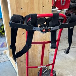 Knee Brace