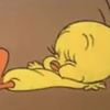 Meep