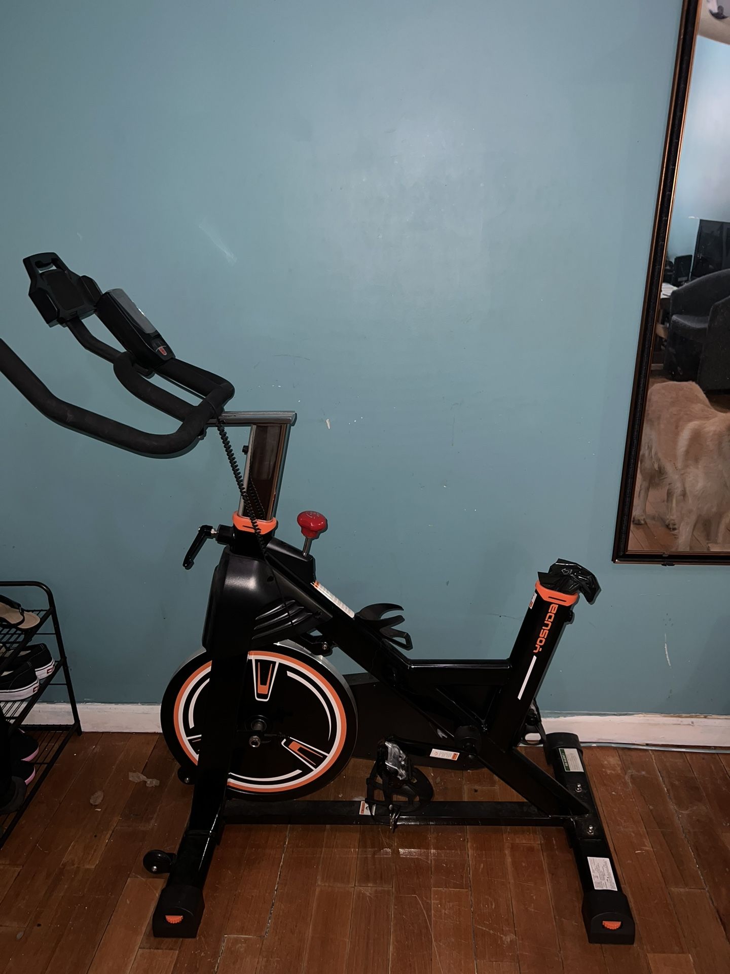 Yosuda Exercise Bike