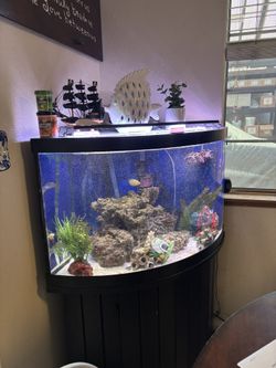 54 Gallon Corner Fish Tank