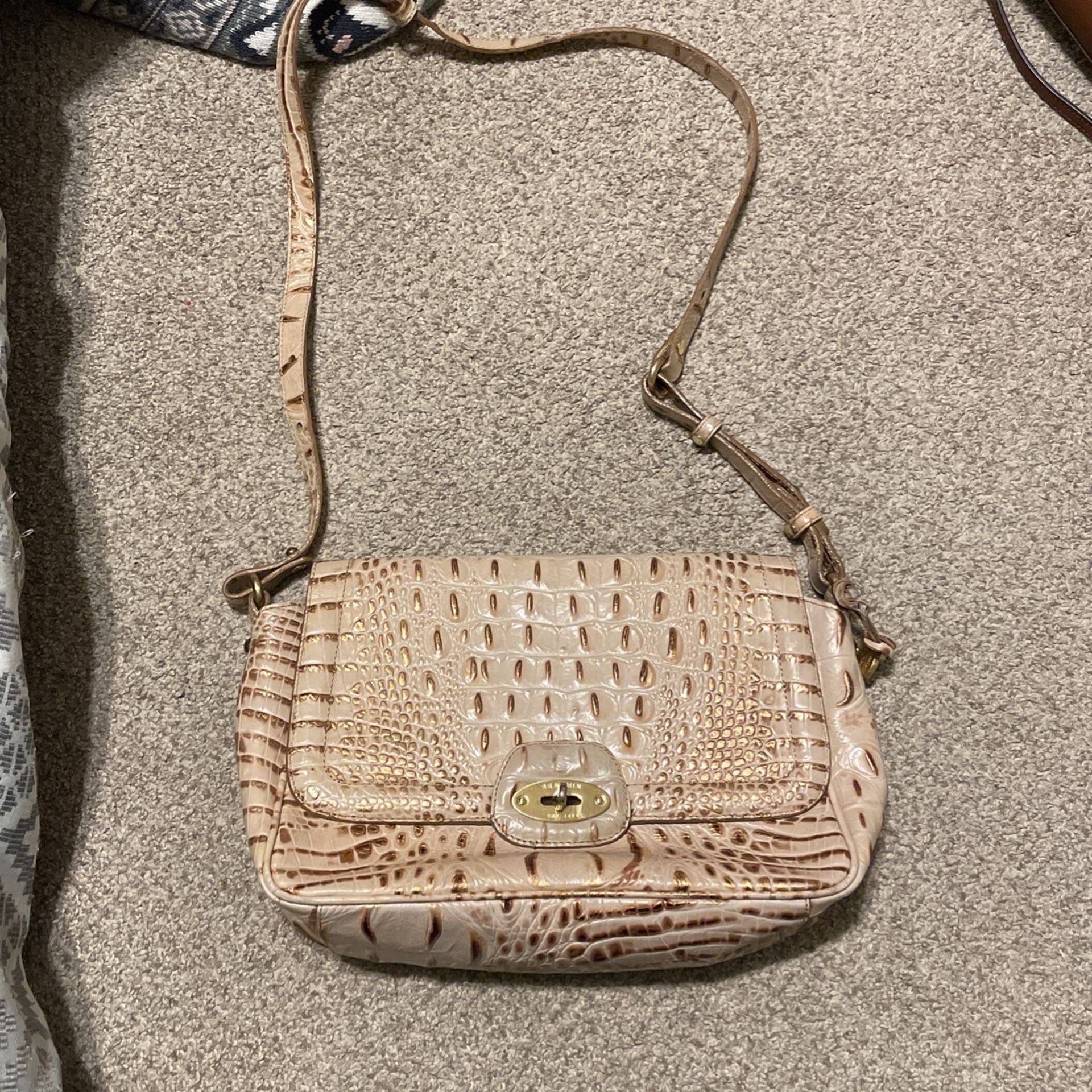 Brahmin Purse