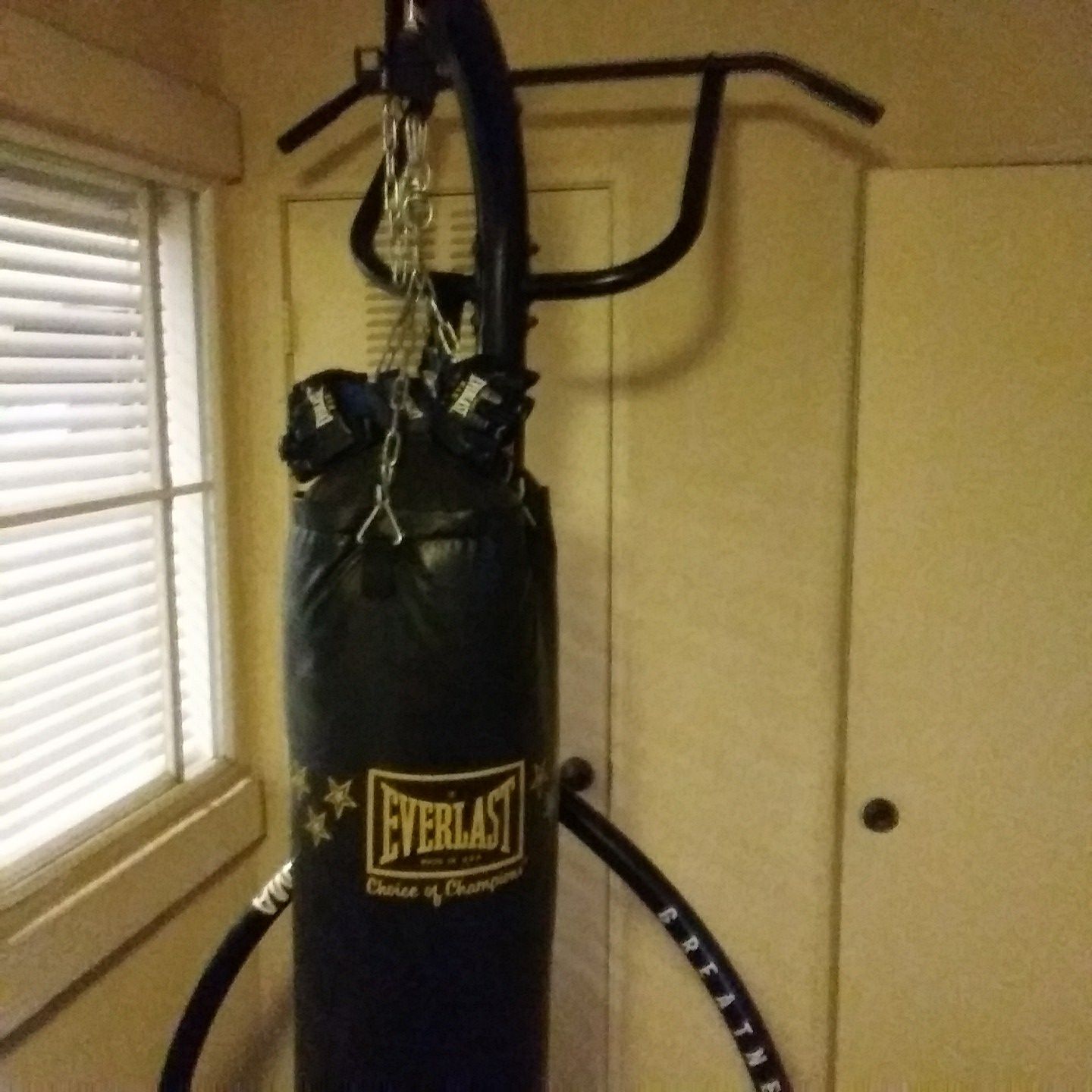 Everlast Punching bag with stand