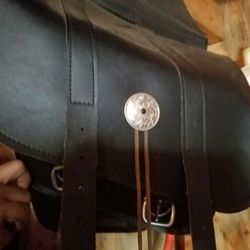 Harley Davidson Saddlebags