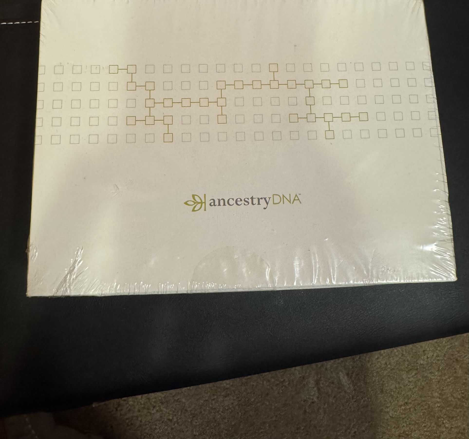 Ancestry DNA Kit