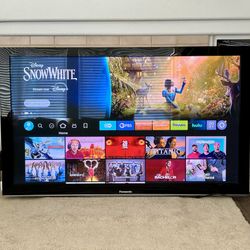 Panasonic 65” Plasma TV, older, not a smart TV but works well with Firestick or Roku. Amazon firestick included. No stand and no remote.