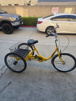 trycycle (trike bike)