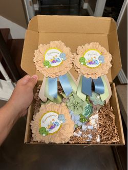 Maternity sash Dinosaur