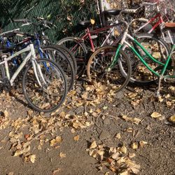 Bikes For Sale  All Need Some Work 