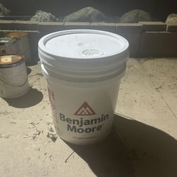 5 gallon off-white paint