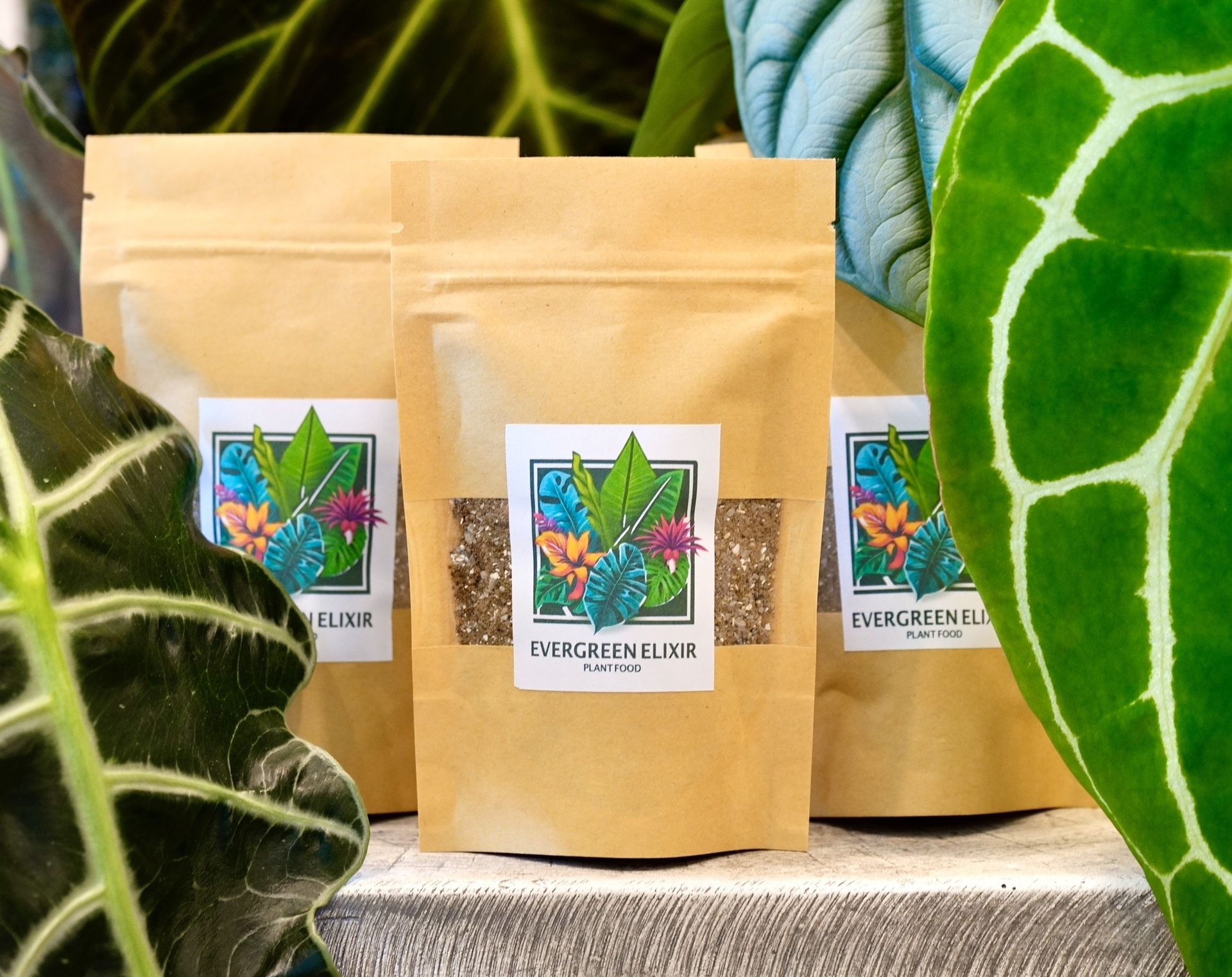 Evergreen Elixir Plant Food