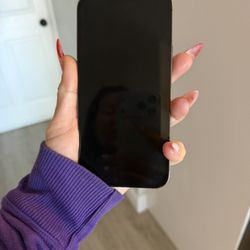 iPhone 13 Pro Max UNLOCKED