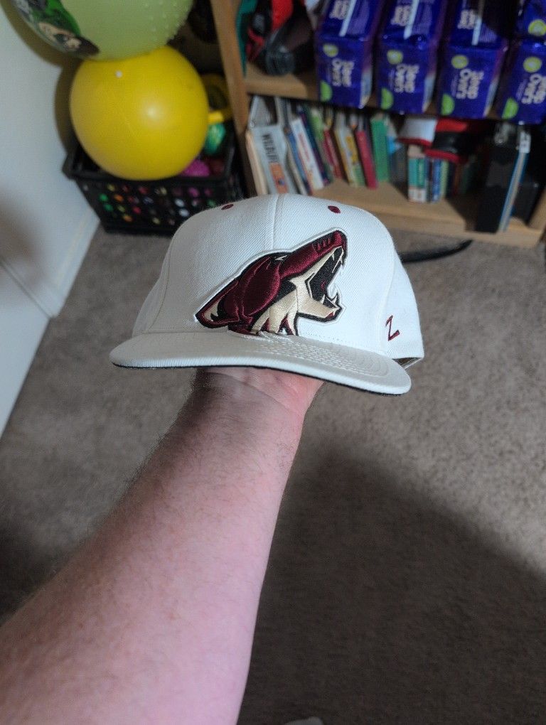 Phoenix Coyotes Hat.