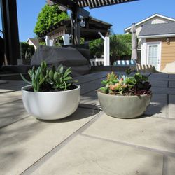 Set Of Sage Color & White Garden Pots With Succulents