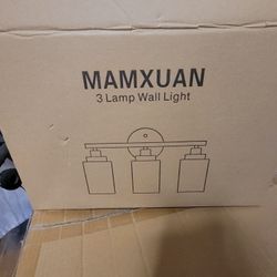 Bathroom Vanity Wall Light Fixture