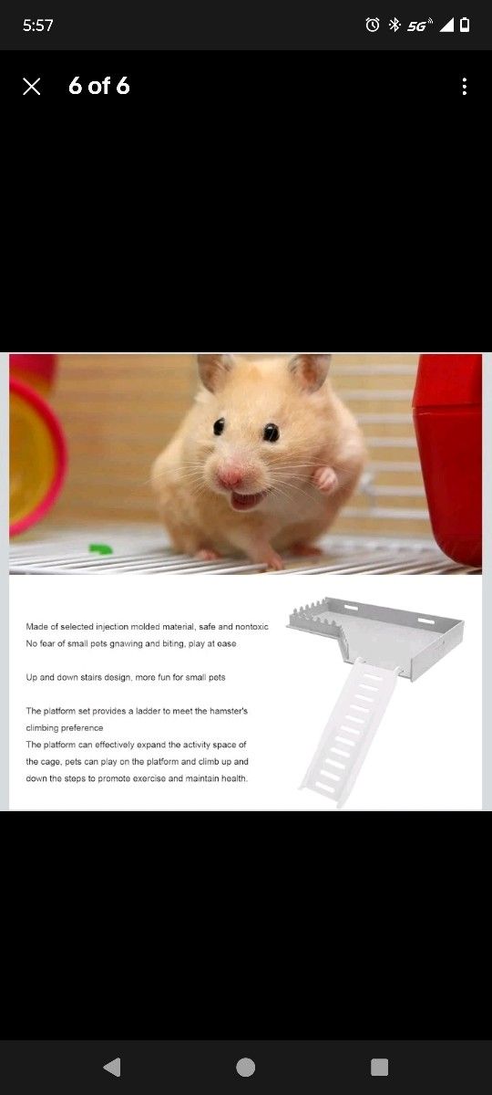 Small Pet Habitat Platform with Ramp - Gray and White