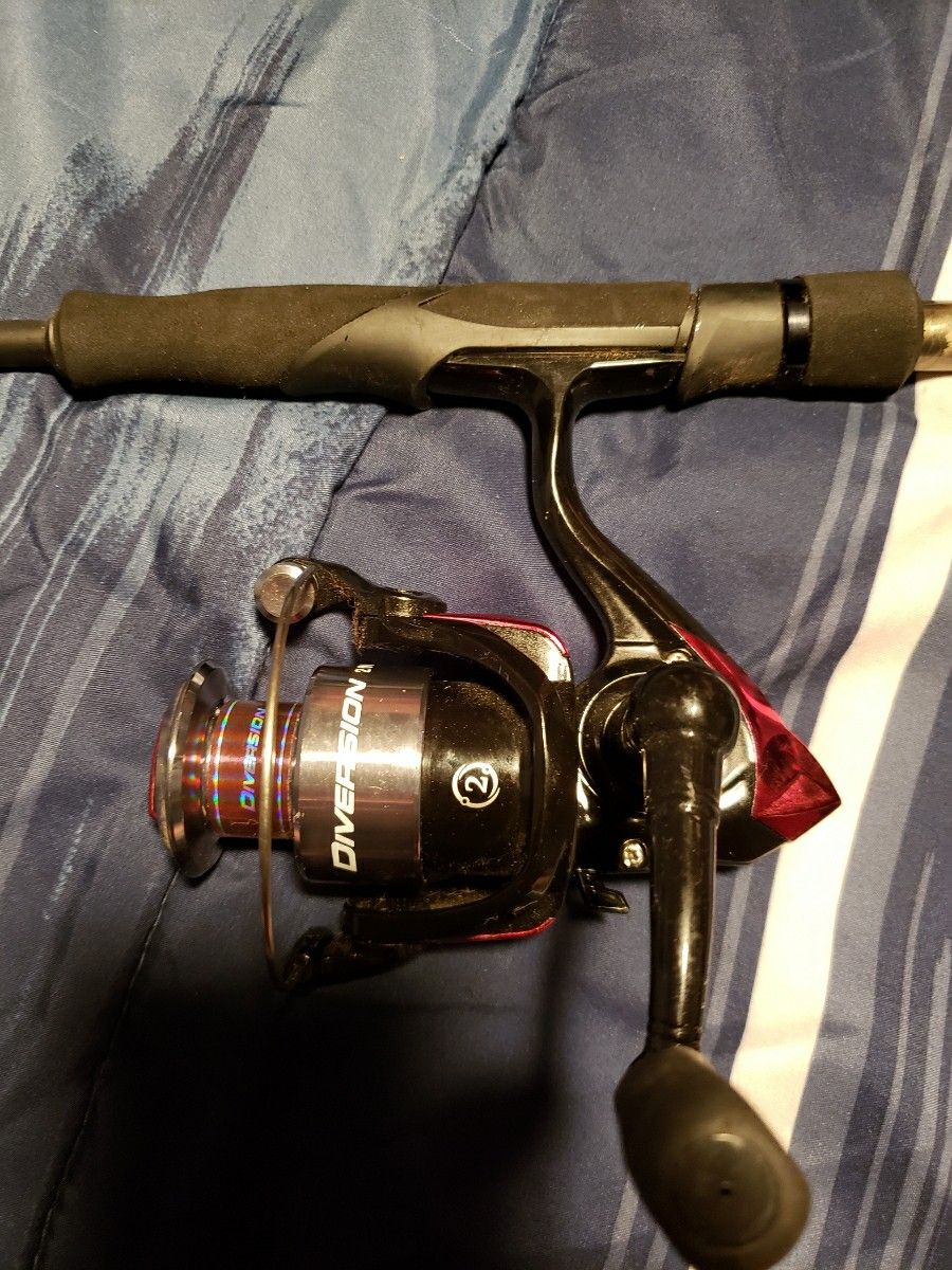 Fishing pole and reel