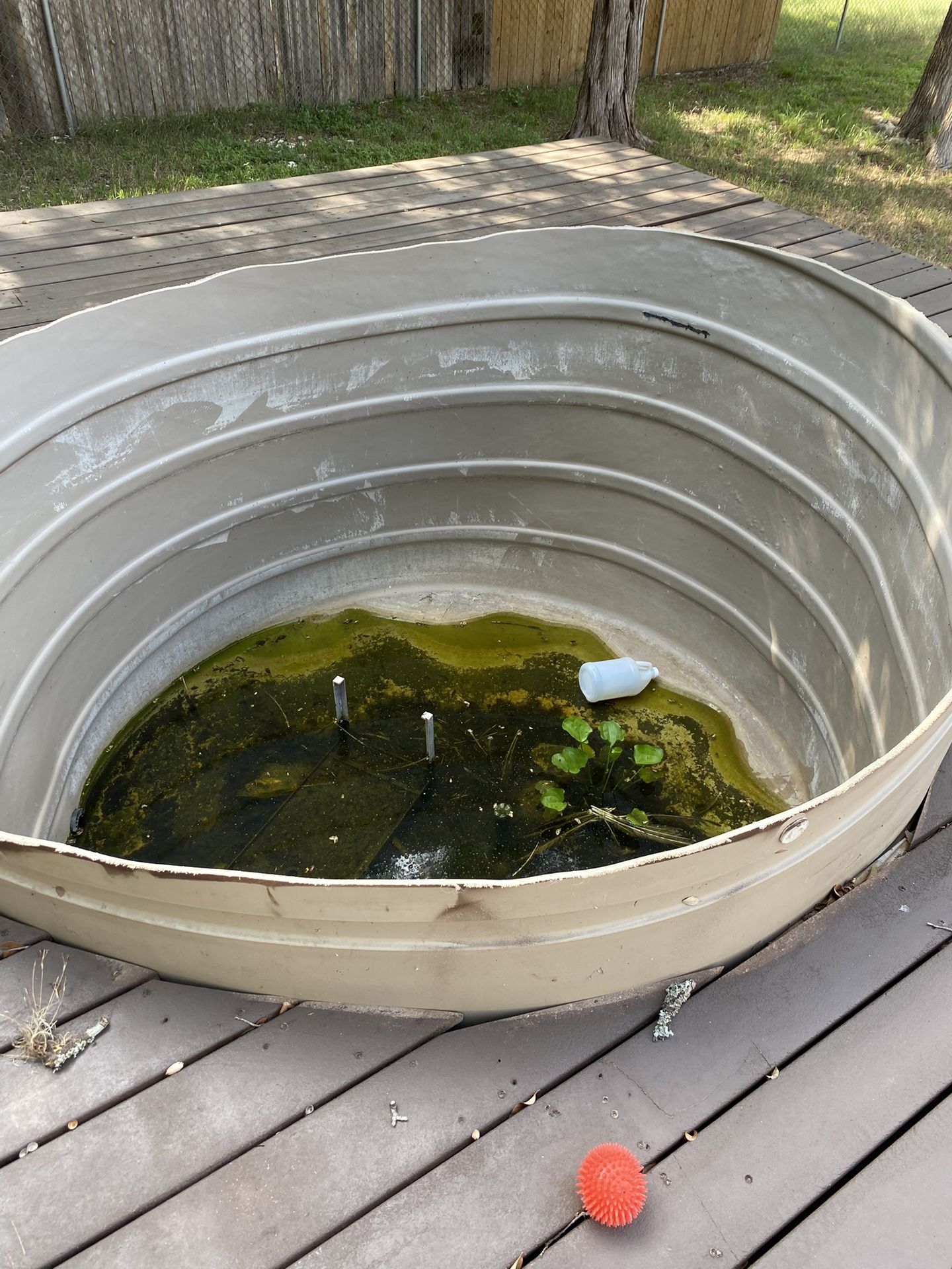 Free Tank Pond Pool