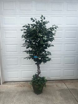 7”feet tall fake plant