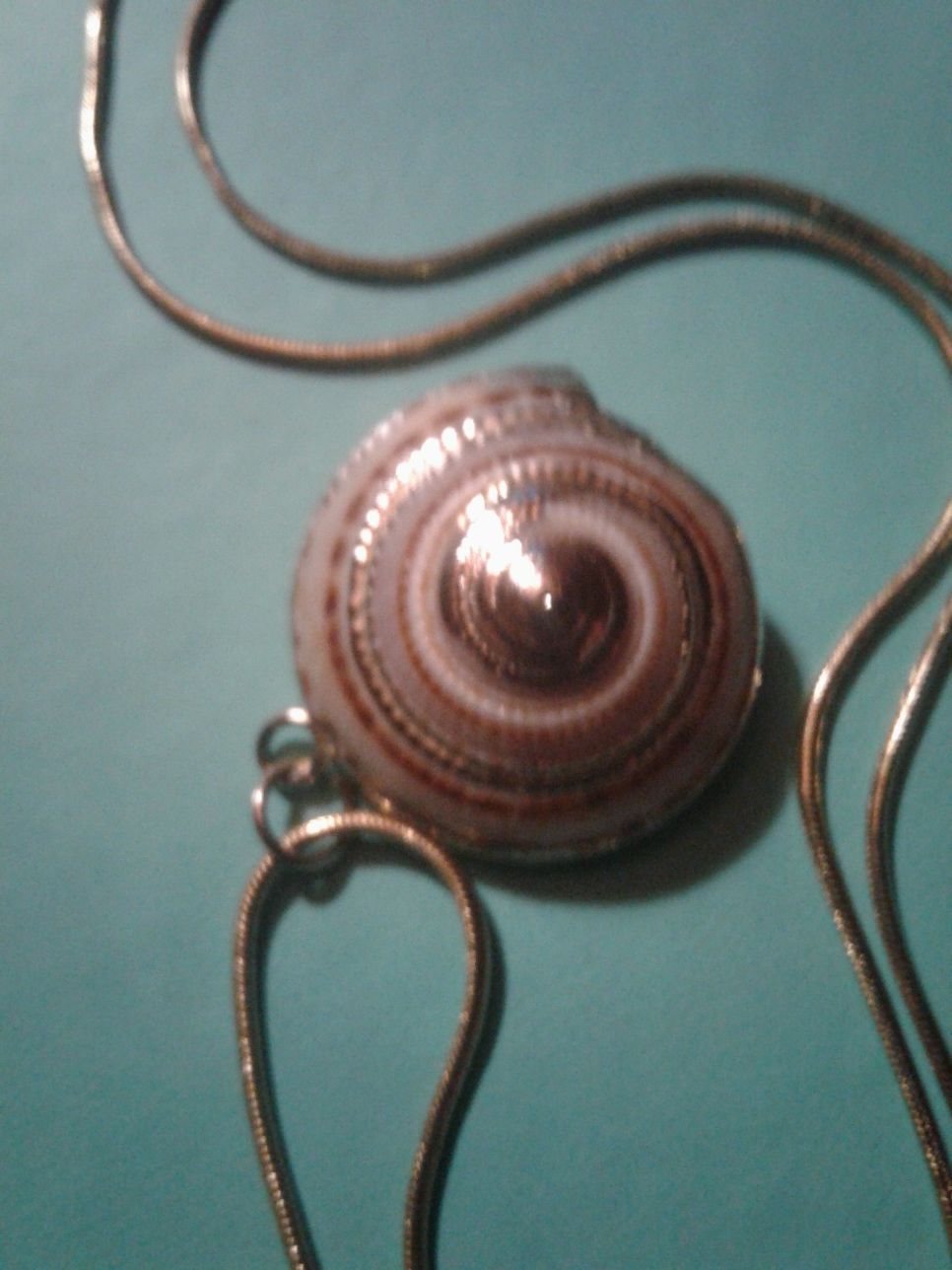 Beautiful gold trim seashell pendant & gold color chain.