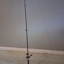 Daiwa D Shock Fishing Pole 