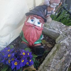 Garden Knome