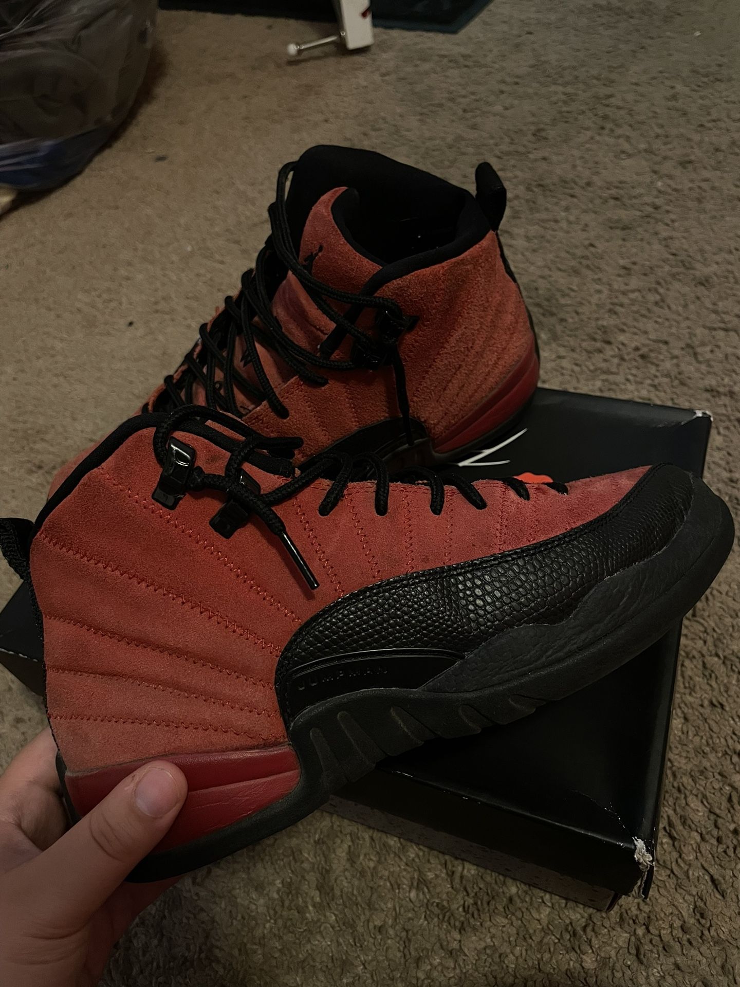 Jordan 12 7Y