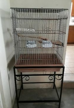Parrot cage and stand