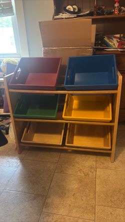 Storage organizer with bins