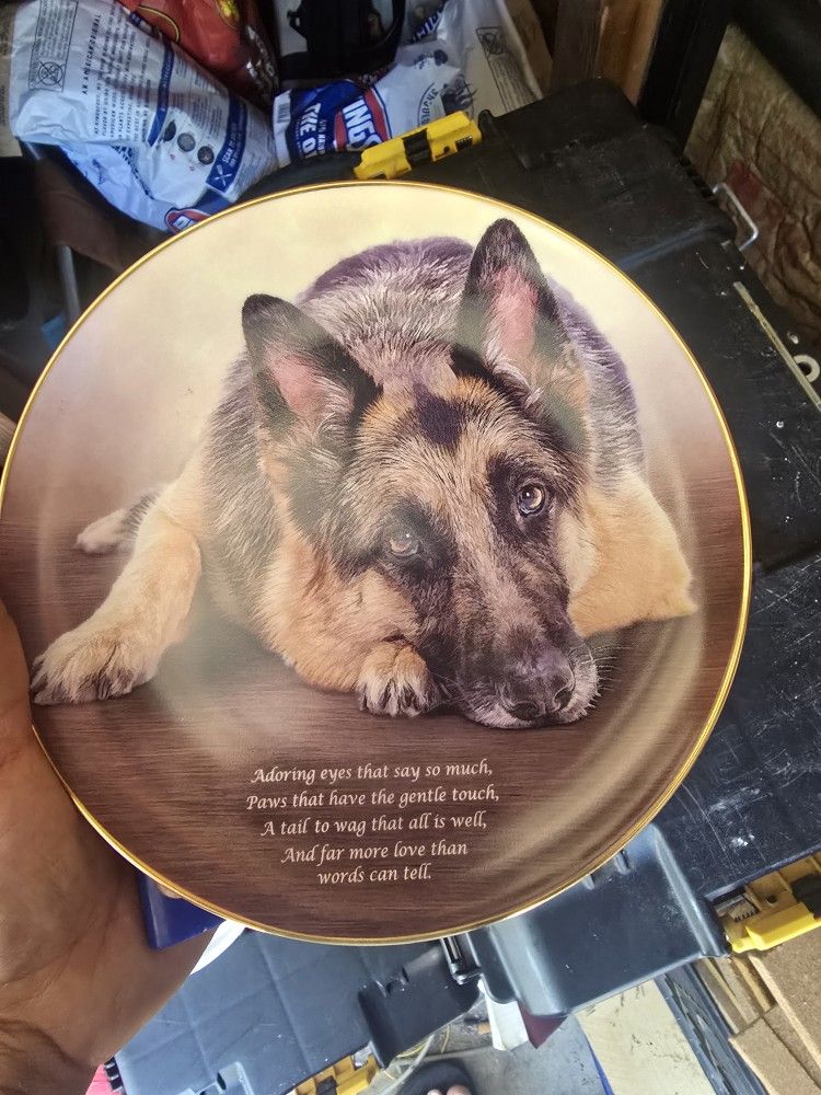 German Sheapard Collectable Plate