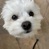 Winifred