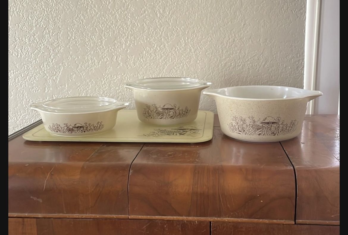 Mushroom Pyrex
