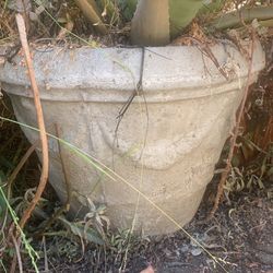 Cement Pots From Ensenada Mexico