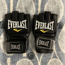 Everlast MMA Gloves