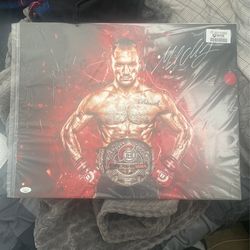 Michael Chandler 16x20 Photo