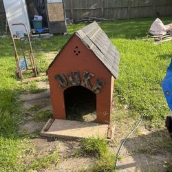 Dog House 