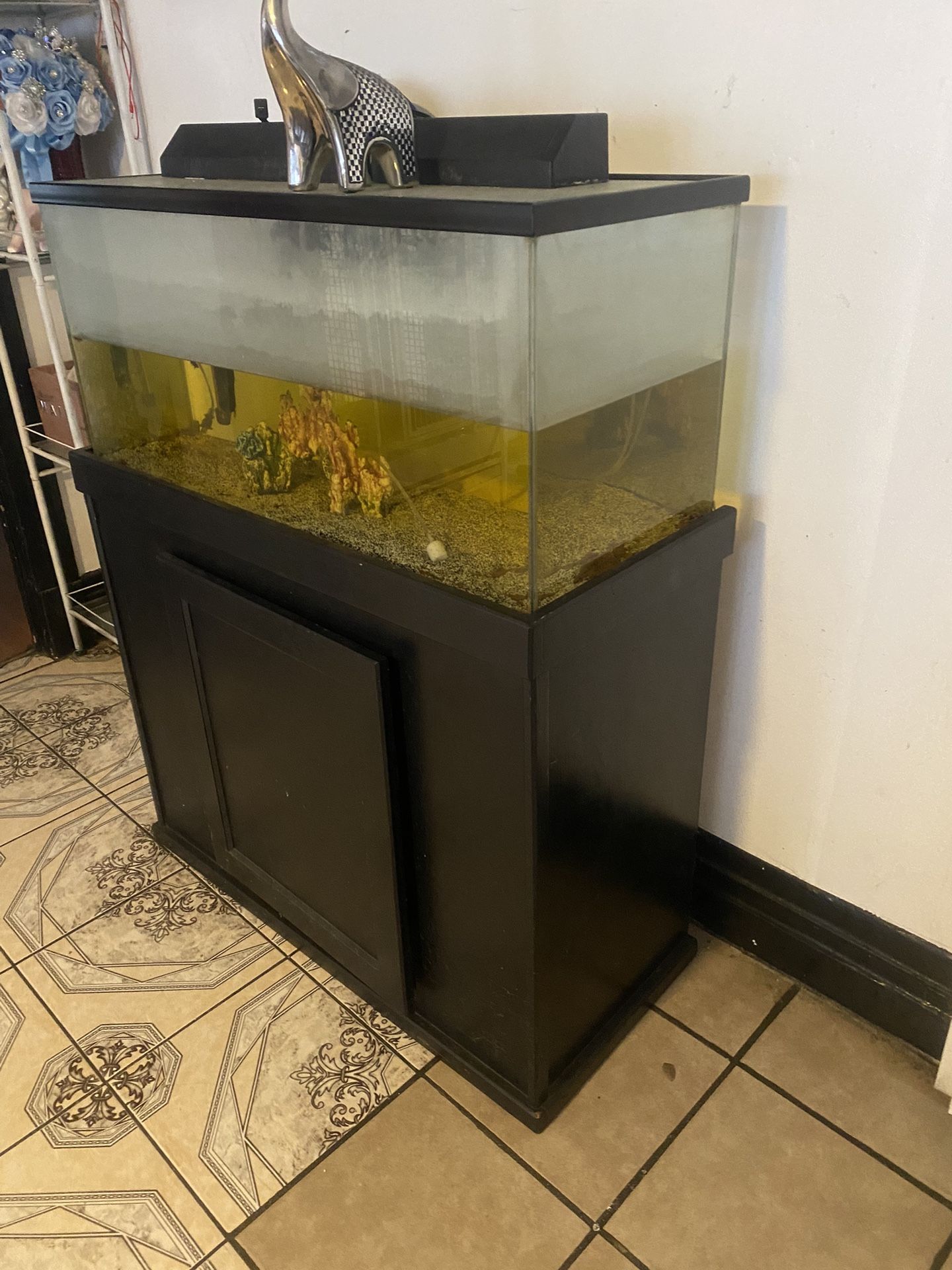 Fish Tank