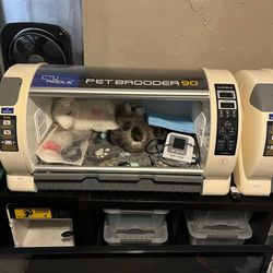 Incubator Brooder 