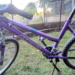 21 Speed Mountain Bike 24"Rims (Paid $79.99)