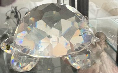 Swarovski Turtle figurine