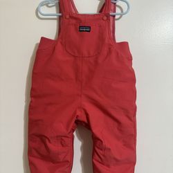 Patagonia Toddler Snow Suit/Snow Bib