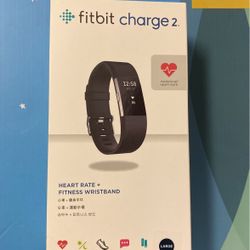 Fitbit Charge 2 Large 