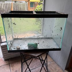 Fish Tank With Stand 