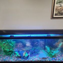 55 Gallon Fish Tank Light And 110 Gallon Filter 